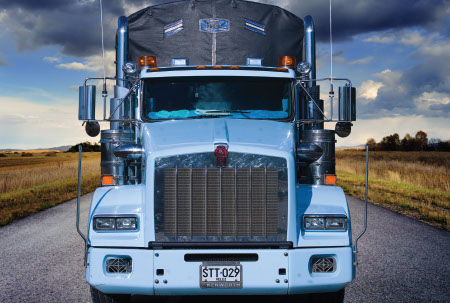 Control vehicular satelital